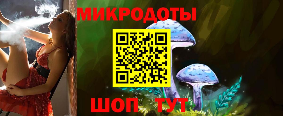 Псилоцибиновые грибы Cubensis Лосино-Петровский